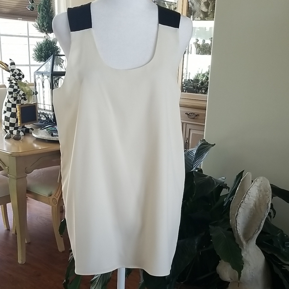 Banana Republic Cream Dress with Black Accents